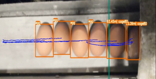 영상 기술을 이용해 달걀 형태를 검출하는 모습. [사진=농진청]